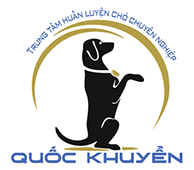 Logo huanluyenchochuyennghiep.com