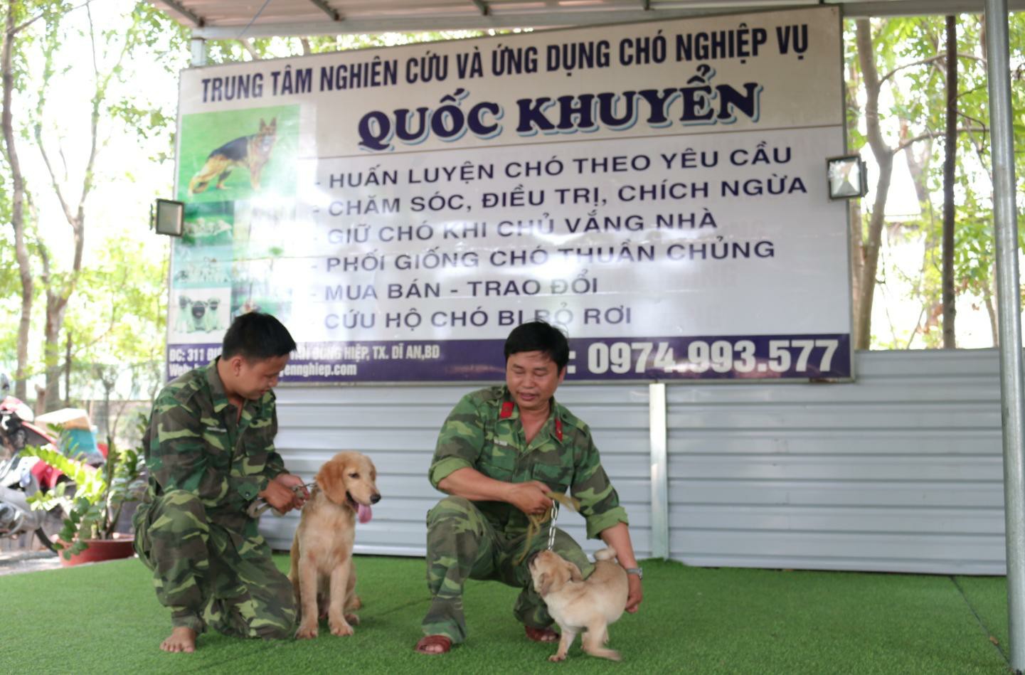Những Lý Do Bạn Nên Chọn Trung Tâm Huấn Luyện Chó Quốc Khuyển