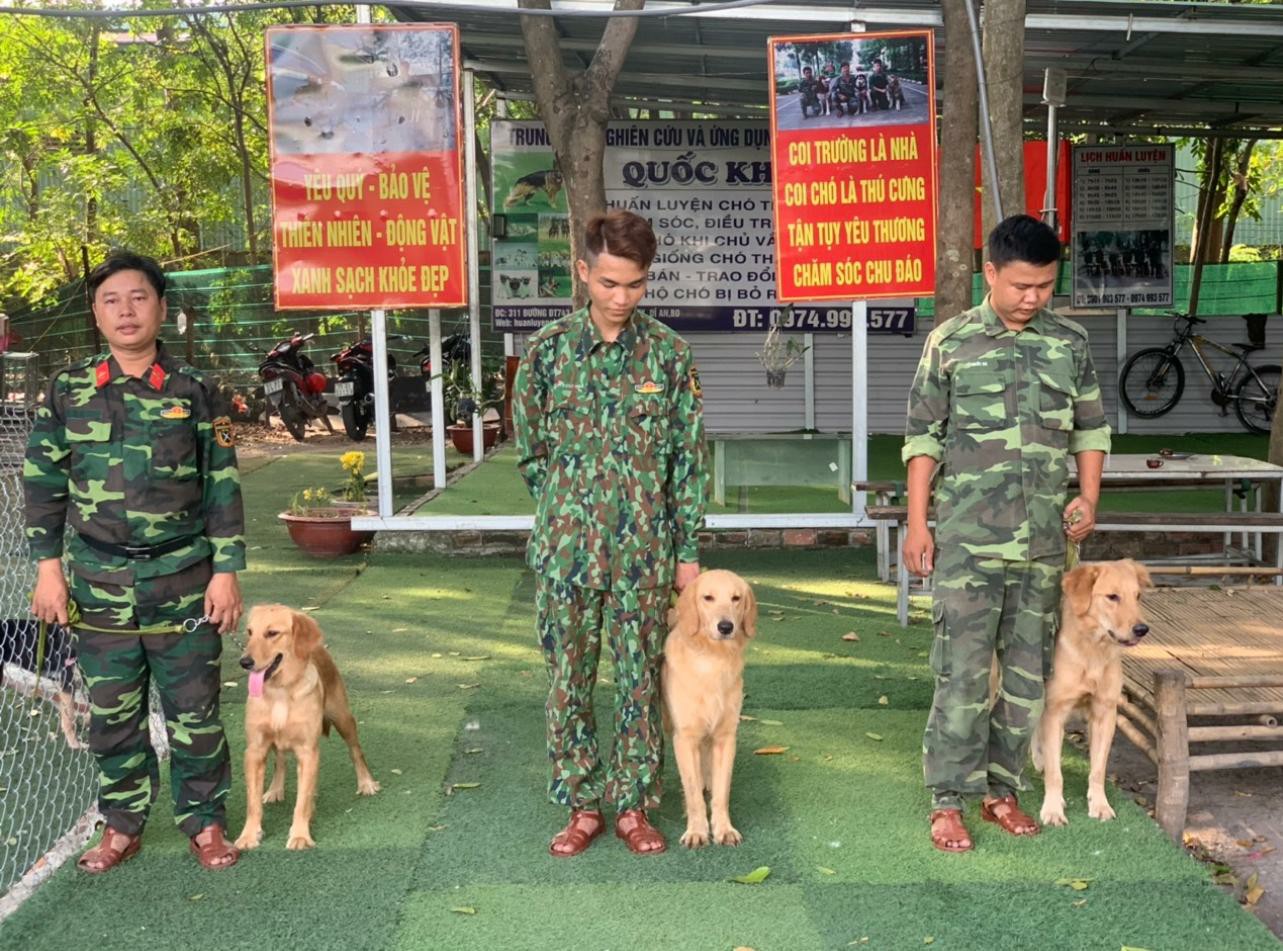 Huấn luyện chó giá bao nhiêu tại Quốc Khuyển