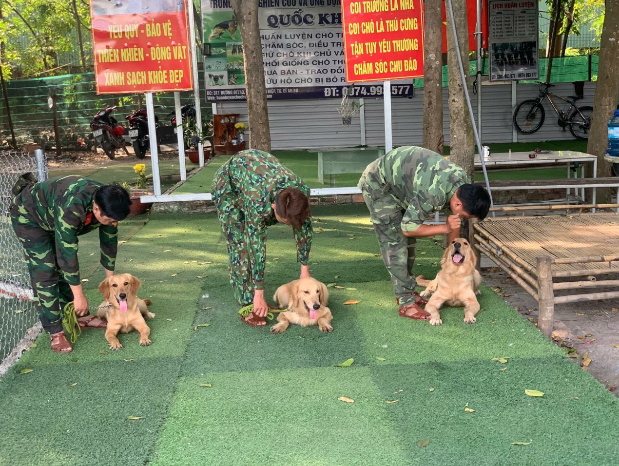 Chi phí huấn luyện chó tại Tp.HCM và các tỉnh lân cận có hợp lý?