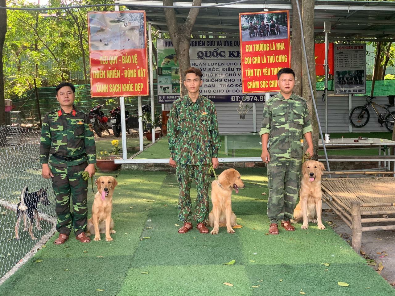 Nội Dung Một Khóa Huấn Luyện Chó Tại Quốc Khuyển