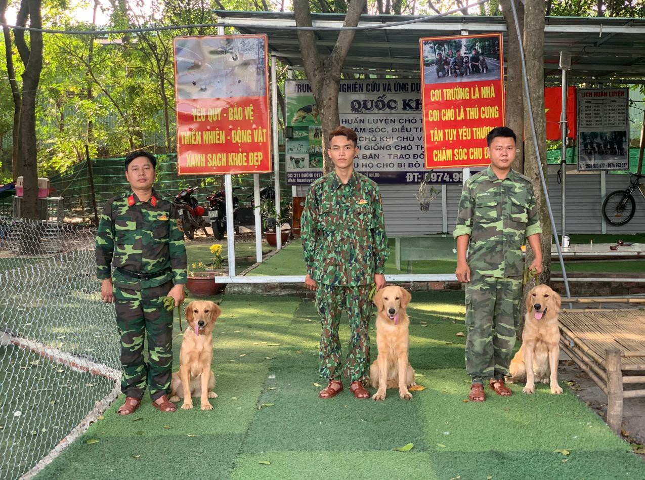 Những trường hợp nào cần đưa chó đi huấn luyện
