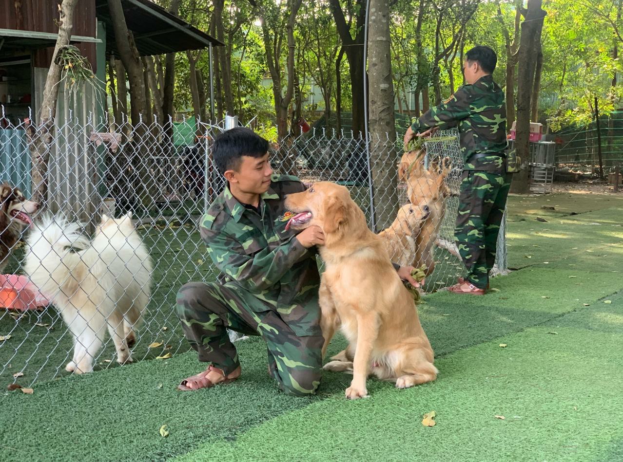 Một Số Mũi Tiêm Phòng Cần Thiết Cho Chú Chó Của Bạn