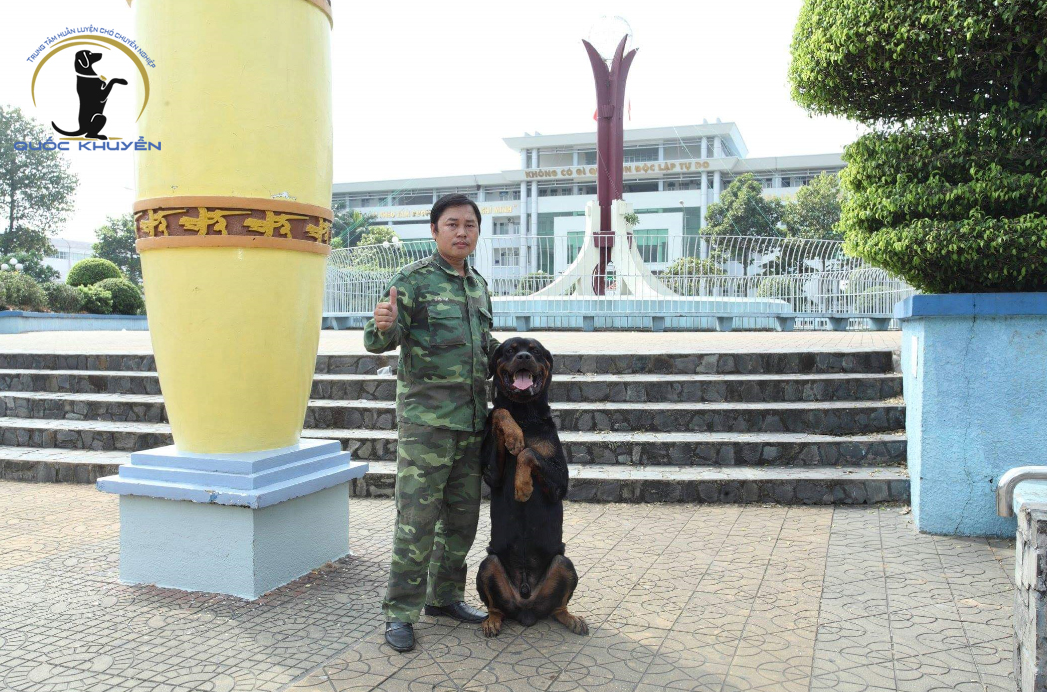Quốc Khuyển - Trung Tâm Chăm Sóc Chó Khi Chủ Vắng Nhà Uy Tín