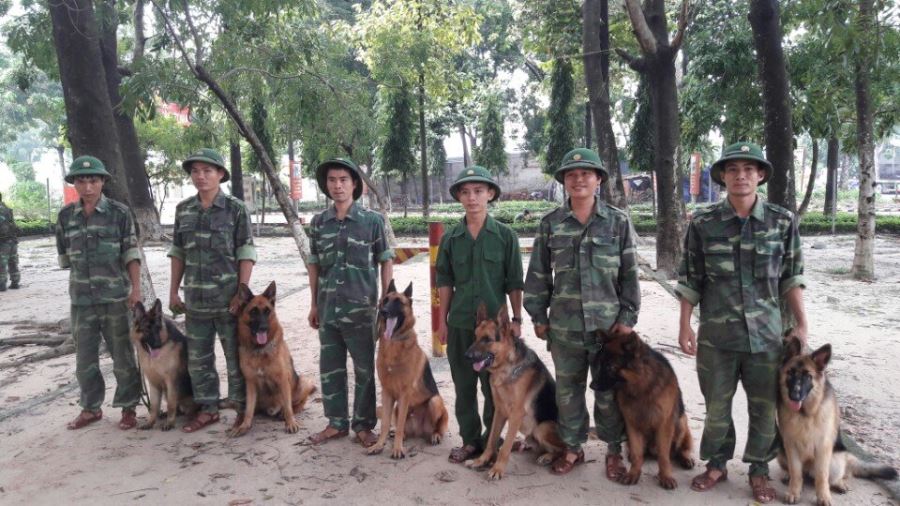 GIỚI THIỆU