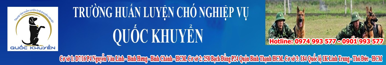 Huấn luyện chó, huấn luyện chó nghiệp vụ, trường huấn luyện chó, trung tâm huấn luyện chó