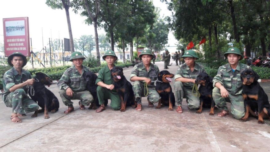 GIỚI THIỆU