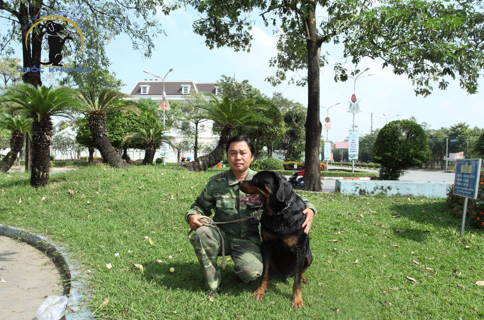 CHO THUÊ CHÓ