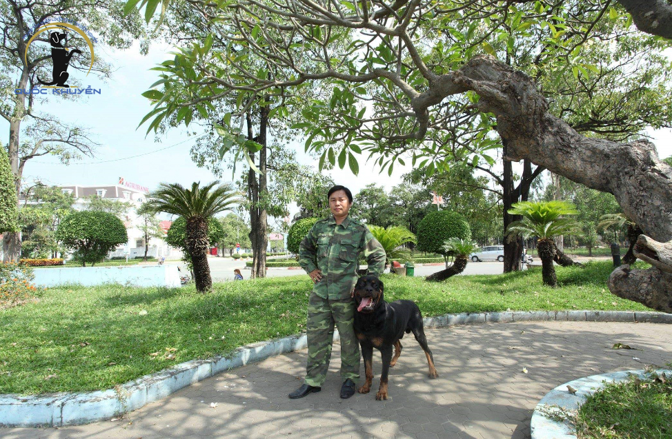Trung Tâm Huấn Luyện Chó Chuyên Nghiệp Quốc Khuyển