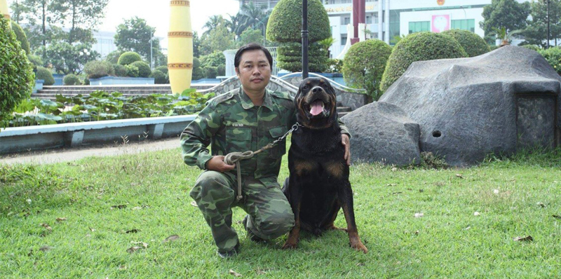 HUẤN LUYỆN CHÓ TPHCM
