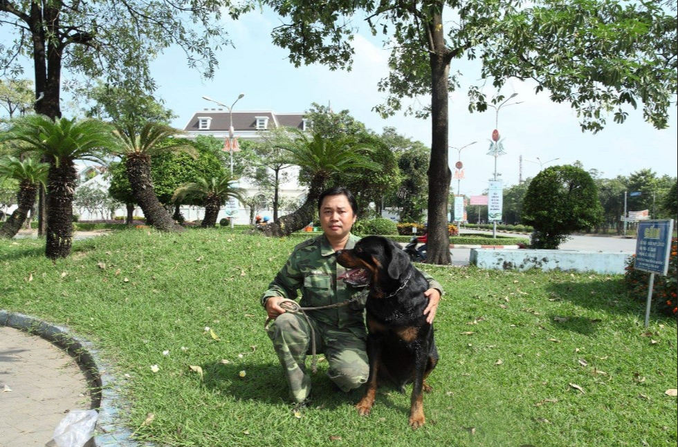 Phối giống chó lai