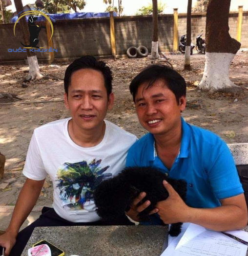 phối giống chó thuần chủng